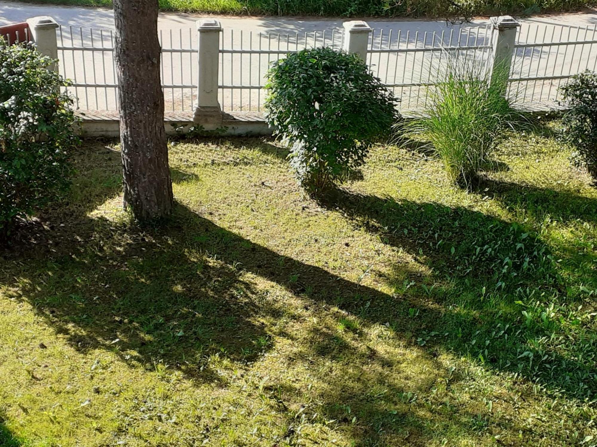 דירות Sipovo Smjestaj Na Selu,Porodica Gvozdenac מראה חיצוני תמונה